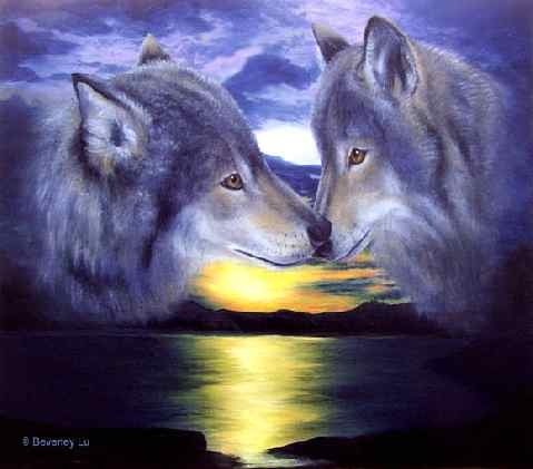 loups