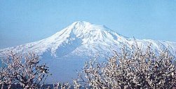 Le MONT ARARAT