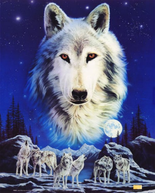 loups